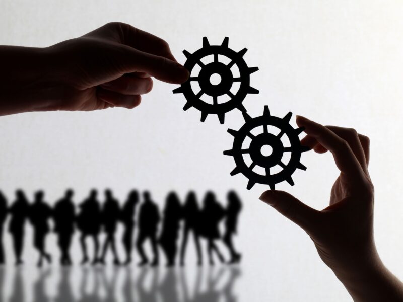 Business Fundamentals: From Growth Principles to Acquisition Strategy